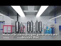 Korte introductie van een moleculaire zeef zuurstofgenerator