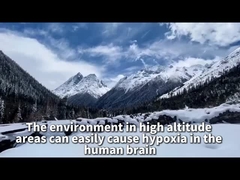 Plateau-diffusie-zuurstofgenerator