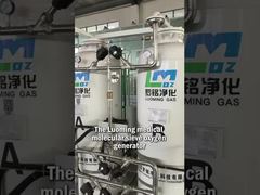 Luoming Zuurstofgenerator - Zuurstofgeneratiecapaciteit en Stabiliteit