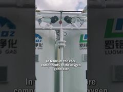 Luoming Zuurstofgenerator - Kerncomponenten en Systeemontwerp